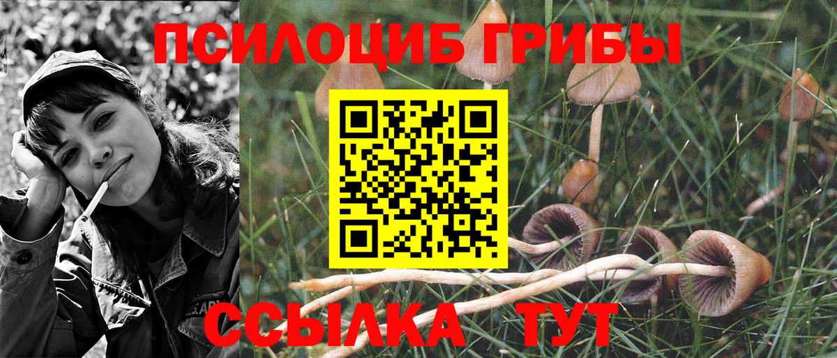 купить  сайты  Вход с VPN  Октябрьский  Псилоцибиновые грибы MAGIC MUSHROOMS 